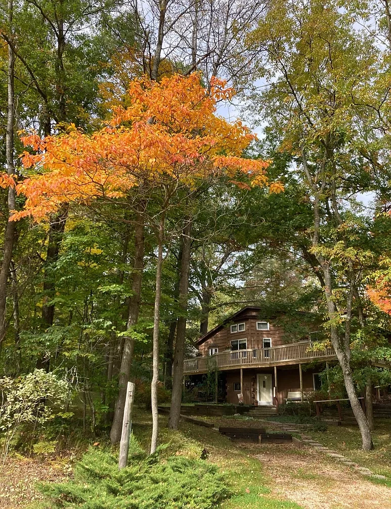Cedar House’s wood exterior and raised deck surrounded by trees with autumn foliage.